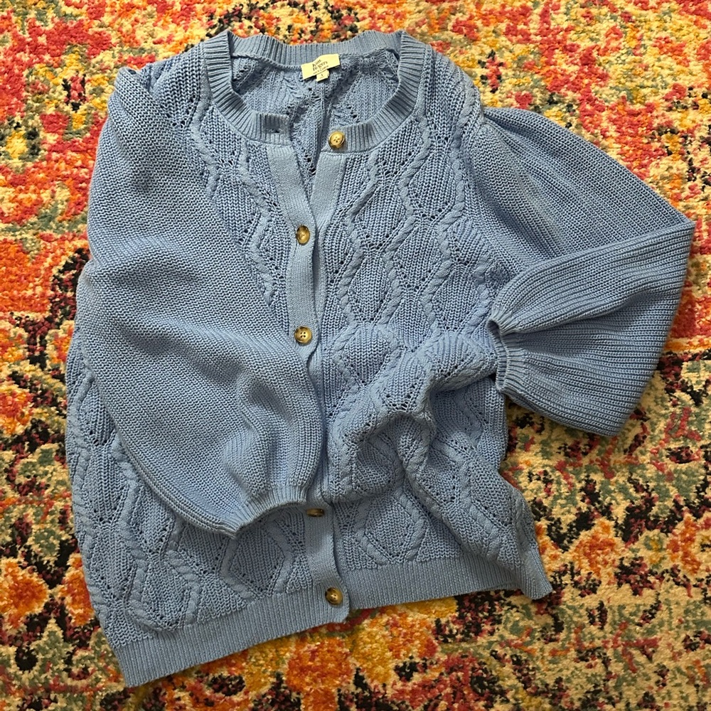 Kim Rogers Light Blue Button-Up Cardigan